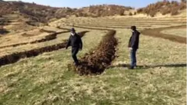 Bingöl'de 210 dönümlük alana bal ormanı kuruldu