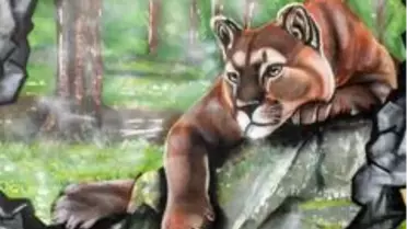 Doğal Yaşam Parkının duvarlarına renk geldi