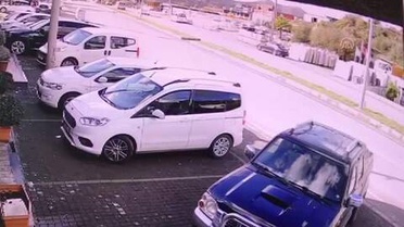 Son dakika! Bodrum'da otomobilin köpeğe çarptığı anlar güvenlik kamerasında