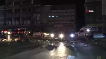 Festival'de patlatılan havai fişekler maymunları korkuttu