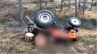 Son dakika haberi... Kastamonu'da tomruk yüklü traktör devrildi: 1 ölü