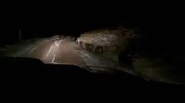 Sivas'ta domuz sürüsü görüntülendi