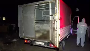 Son dakika haberi: Zehirlendikleri iddia edilen 6 köpek ölüsü bulundu