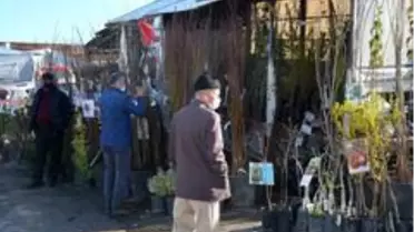 Sinop'ta köylere göç arttı, fidan satışlarını patladı