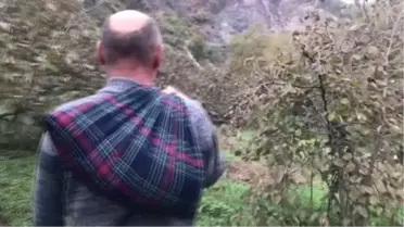 Asırlık değirmenin çarkları 'lezzet' için dönmeye devam ediyor