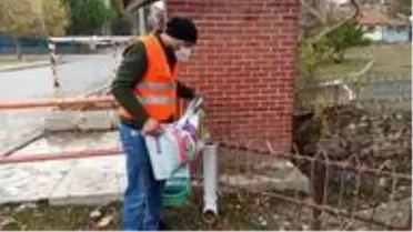 Gediz Belediyesi sokak hayvanlarını unutmadı