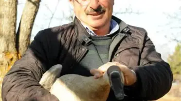Hobi olarak kaz yetiştiriciliğine başladı, şimdi çiftlik kurdu