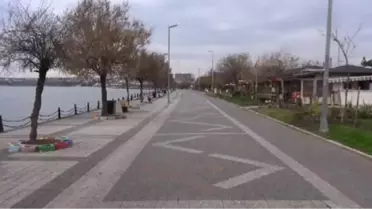 Silivri sahili ve sokakları kedi ve köpeklere kaldı