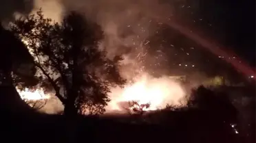 Samandağ'da zeytinlik yangını