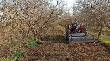 İzmir'de kısıtlamaya rağmen tarlalarda üretim devam etti