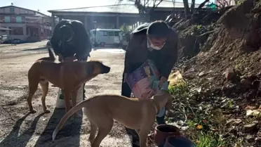 Karacasu'da Başkan İnal can dostları unutmadı