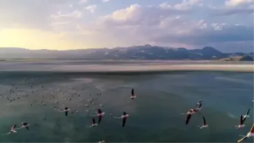 Son dakika haberleri... Vali Arslantaş'tan Kovid-19 salgınından sonra flamingolarla ünlü Yarışlı Gölü'ne davet