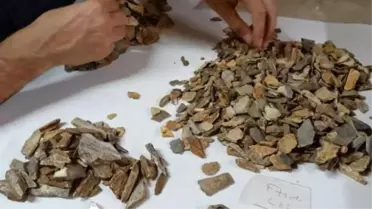 Bilim insanlarını şaşırtan keşif! Arkeolojik kalıntıdan 41 bin yıllık Neandertal kalıntısı çıktı