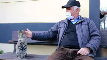 Patisinden sakatlanan kediye taksiciler sahip çıktı