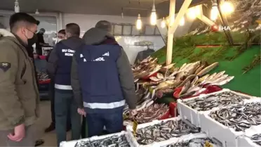 Son dakika haber! Balon balığının Akdeniz'den Van'a 'ölüm' yolculuğu