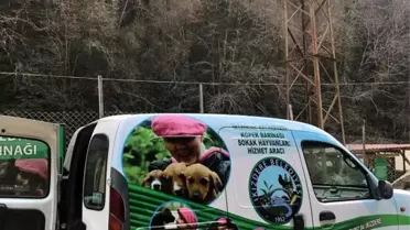 Sokak hayvanlarına 'özel araç hizmeti'