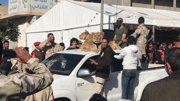 Libya: Altı kardeş ve aslanları bir kente nasıl dehşeti yaşattı?