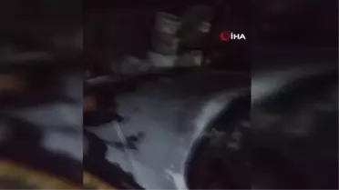 Bodrum'da akıl almaz olay...Evini basıp tüfekle vurdukları şahsın araçlarını da yakıp kaçtılar