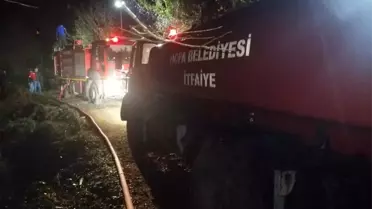 Artvin'in Kemalpaşa ilçesinde yangın
