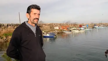Hamsinin geleceği tehlikede