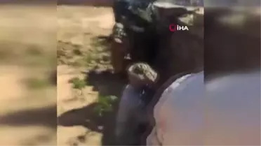Son dakika haberleri... - Sudan'daki şiddet olaylarında 48 kişi öldü, 97 kişi yaralandı