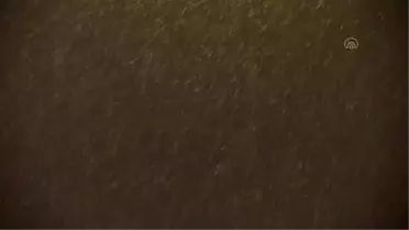 Doğu Anadolu'da kar hayatı olumsuz etkiliyor