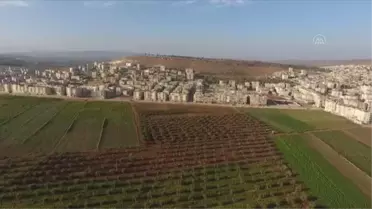 Zeytin Dalı Harekatı'nın 3. yılı