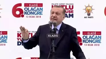 (ARŞİV) Zeytin Dalı Harekatı'nın 3. yılı