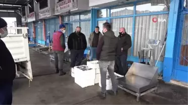 Balıkçılar gelecek yıl Karadeniz'de hamsi bolluğu bekliyor