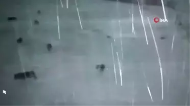 Köye inen kurt sürüsü köpeği parçaladı, o anlar kameraya yansıdı