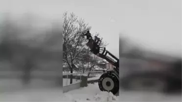 Güdül'de ağaçta mahsur kalan kuşu belediye ekipleri kurtardı