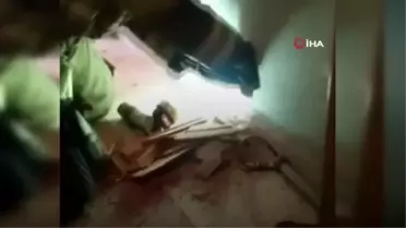 Son dakika haberleri | İzmir'de duvarda sıkışan kedi itfaiye tarafından kurtarıldı
