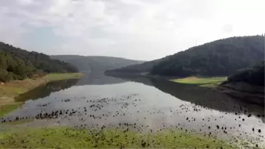 (Drone) - Barajlardaki su seviyesi yüzde 43'e yükseldi