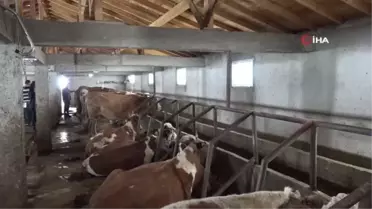 Almanya'yı bırakıp, döndüğü köyünde huzuru ve sağlığı buldu