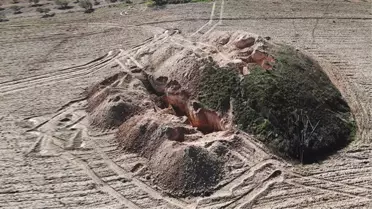 2 bin 700 yıllık tümülüsler, defineciler tarafından iş makineleriyle talan edildi