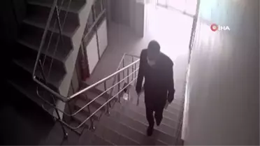HDP'li meclis üyesi resmi mühürlü belgeleri çoğalttı, ortalığı karıştırdı