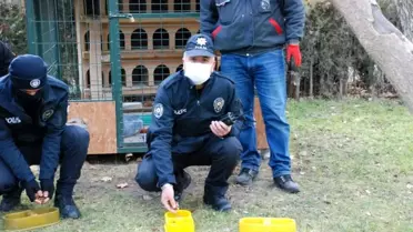 Yiyecek bulmakta zorlanan sokak hayvanları beslendi