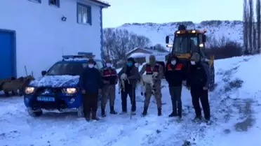 Son dakika haberi! Çatısı çöken ahırdaki hayvanları jandarma ekipleri kurtardı