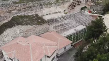 Koruma altındaki 278 Kelaynak doğaya salındı