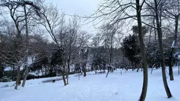 Yıldız Parkı'ndaki kar manzarası böyle görüntülendi