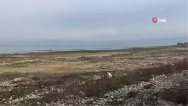 Manisa'nın kuş cenneti göz göre göre yok oluyor