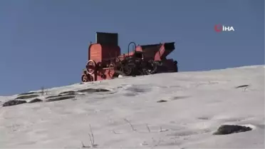 Yıllardır karlı dağlarda hayvanlarıyla iç içe yaşıyor