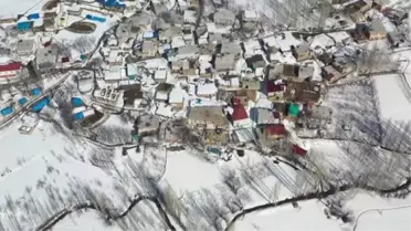 Besiciler dik yamaçlardan kızakla taşıdıkları ağaç dallarıyla hayvanlarını besliyor