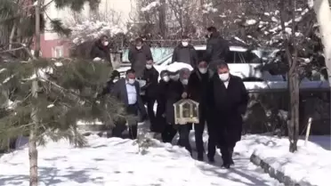 Kaybolan kedisine üzülen kadın, muhabbet kuşu hediyesiyle moral buldu