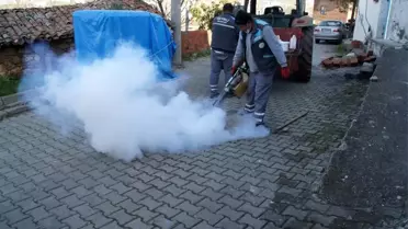 Geyikli'de yaza hazırlık çalışmaları