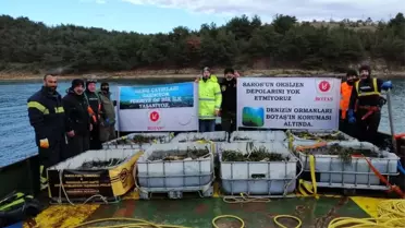 BOTAŞ'tan Saros Körfezi'nde gerçekleştirdiği proje alanına 100 bin ağaç