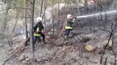Fethiye'de çıkan orman yangını söndürüldü