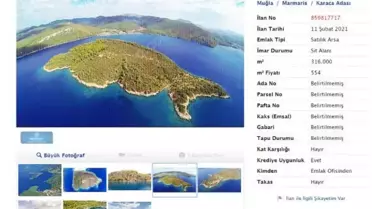 Karaca Adası'nda indirim! Fiyat, 175 milyon liraya düştü