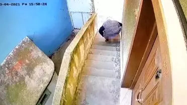 Kedi köpek zannetti, insan çıktı