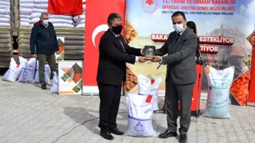 200 ton sertifikalı yerli mercimek tohumu çiftçilere dağıtıldı